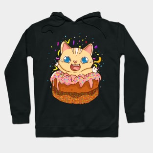 Birthday Cake Cat Surprise Kitty Hoodie